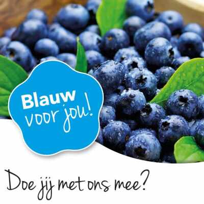 'Blauw voor jou' in de media